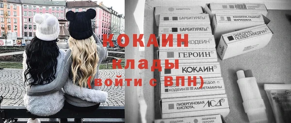 гидра Ачинск