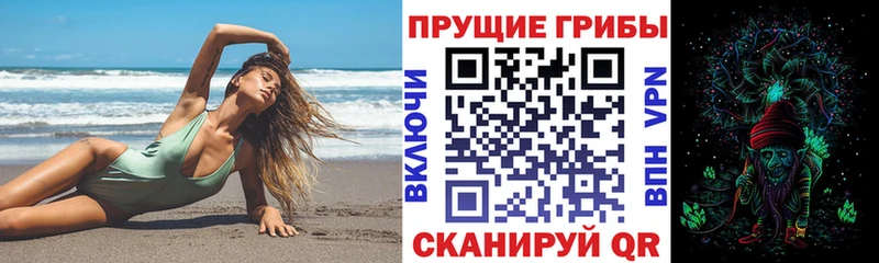 купить наркоту  kraken маркетплейс  Псилоцибиновые грибы GOLDEN TEACHER  Узловая 