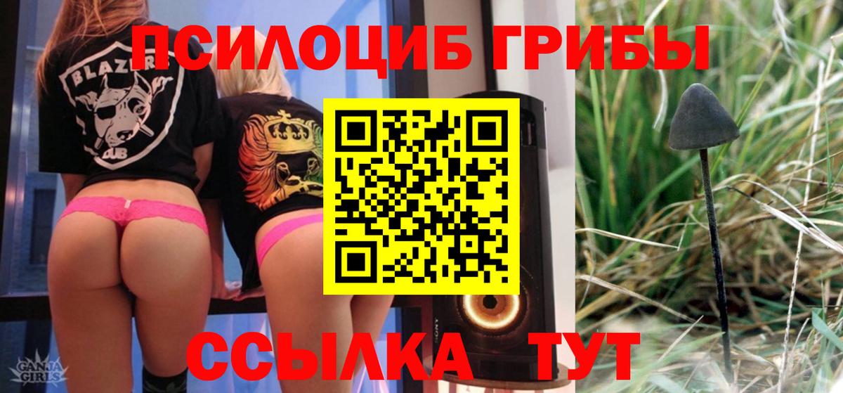 Галлюциногенные грибы Psilocybe  Вход с VPN  Узловая 